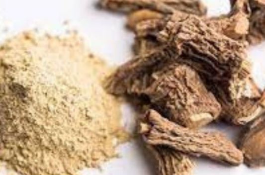 Hemidesmus indicus extract supplier and manufacturers