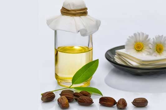 jojoba oil extract supplier india