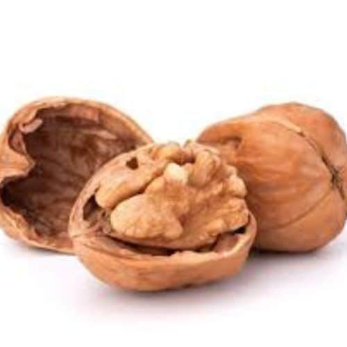 walnut extracts exporter