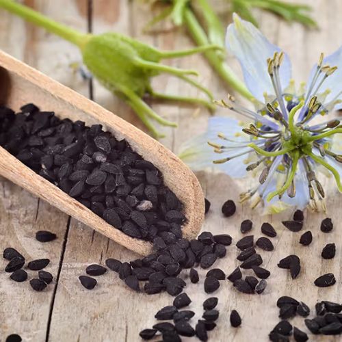 black seed extracts supplier in usa