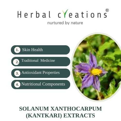 Solanum xanthocarpum Extracts Supplier & Manufacturer