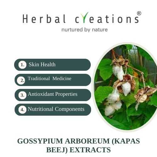 Manufacturer of Gossypium arboreum Extracts