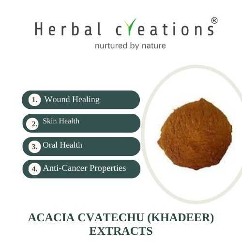 Acacia Catechu Extracts Extracts Supplier And Manufacturer