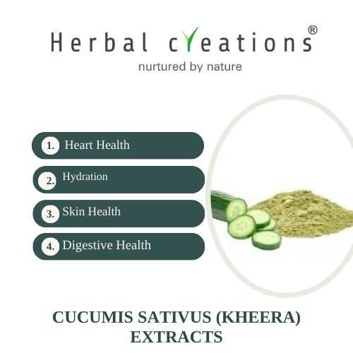 Herbal Creations is a Supplier And Manufacturer of Cucumis sativus (Kheera) Extracts 