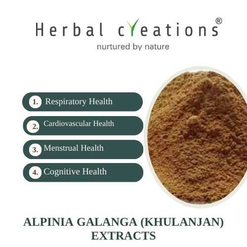 Alpinia Galanga Extracts Supplier or Manufacturer