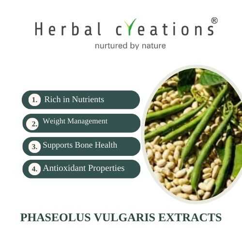 phaseolus vulgaris extracts wholesaler in thailand