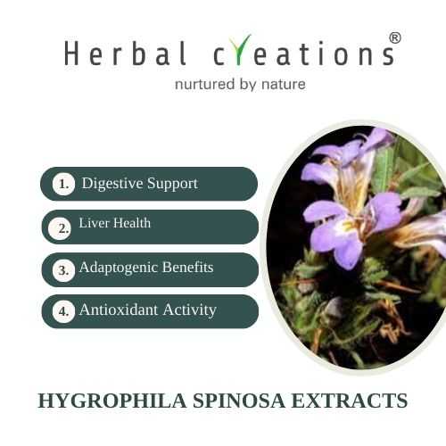 Hygrophila Spinosa extracts