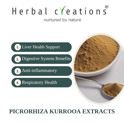 Picrorhiza kurrooa Extracts Supplier & Manufacturer