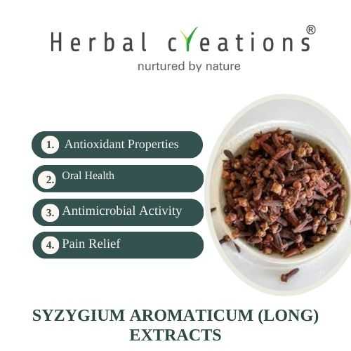 Syzygium aromaticum Extracts Supplier & Manufacturer