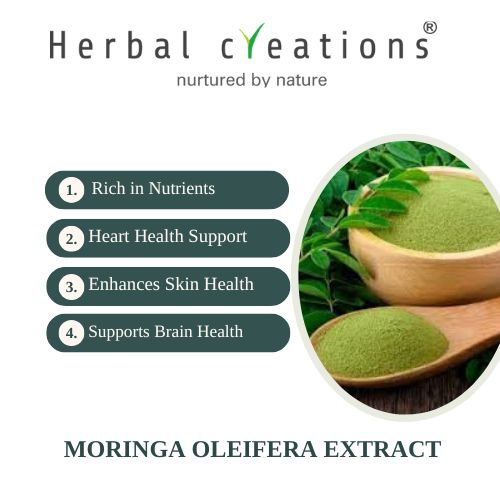 moringa oleifera extracts supplier in United Kingdom