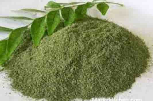 Curry Leaf extracts supplier in thailand