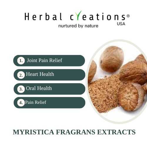 myristica fragrans extracts wholesaler