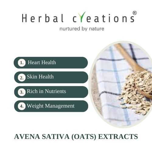 Avena sativa Extracts Supplier & Manufacturer