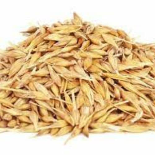 oats Extracts Manufacturer