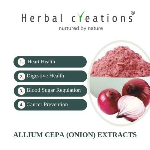 onion extracts supplier and manufacturer