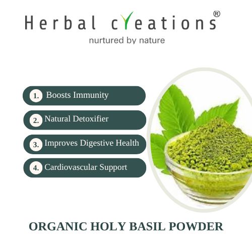 Organic Holy Basil Powder supplier in United Kingdom
