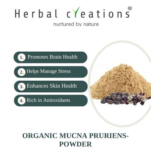 Organic Mucuna Pruriens Powder supplier in United Kingdom