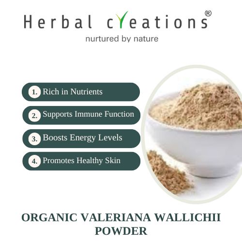 Organic Valeriana Wallichii powder supplier in United Kingdom