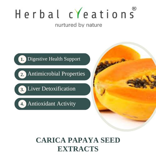 Capparis spinosa (Himsara) Extracts Supplier | Herbal Creations