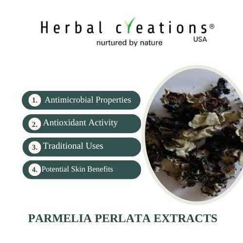 Parmelia perlata Extracts Supplier