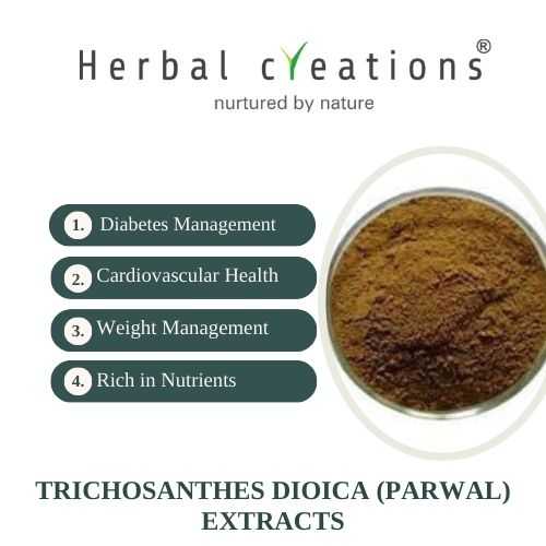 Trichosanthes Dioica Extracts Supplier & Manufacturer
