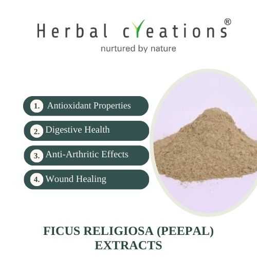 Ficus religiosa Extracts Supplier or Manufacturer | Herbal Creations