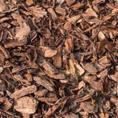 Pinus Pinaster Bark Extracts Exporter
