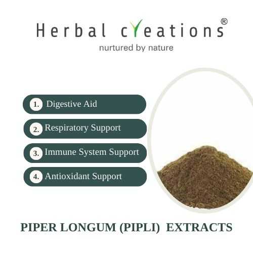 Piper Longum Extracts Supplier & Manufacturer