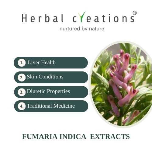 Fumaria Indica Extracts Supplier or Manufacturer