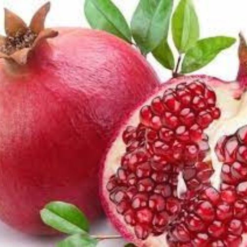 pomegranate extracts supplier