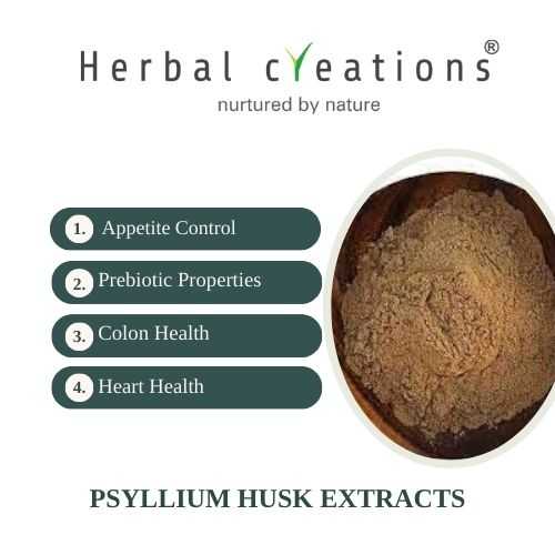 Psyllium Husk extracts wholesaler in thailand