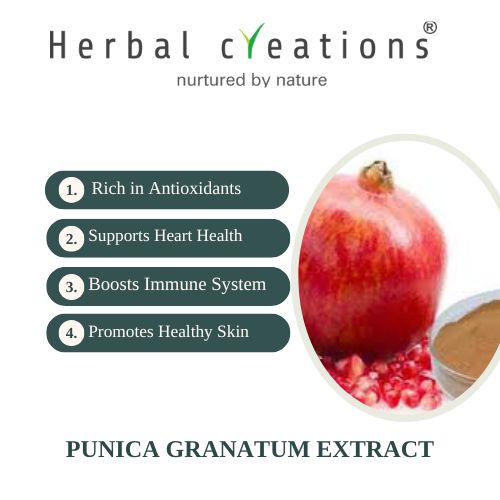 punica granatum extracts supplier in United Kingdom