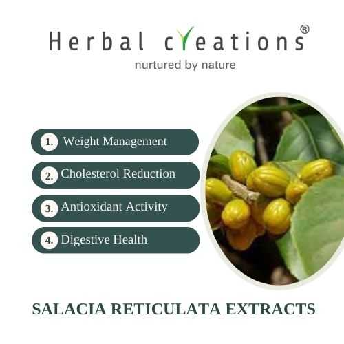 Salacia reticulata extracts
