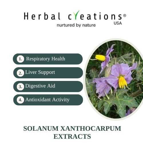 Solanum Xanthocarpum Extracts wholesaler in usa
