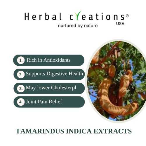 tamarindus indica extract wholesaler