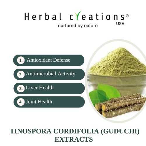 Tinospora cordifolia extracts supplier