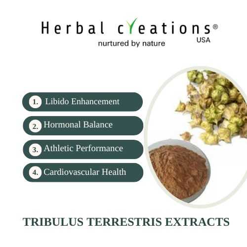 Tribulus Terrestris extracts Supplier