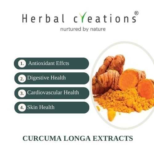 Curcuma longa extracts wholesaler in thailand