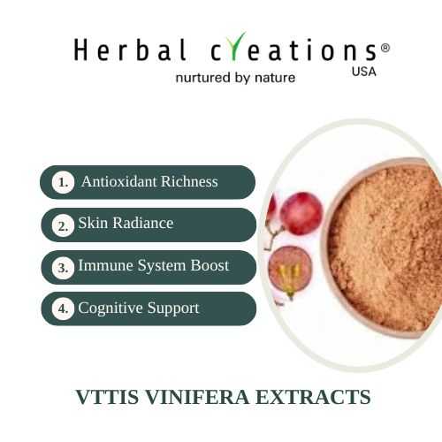 Vitis Vinifera extracts supplier