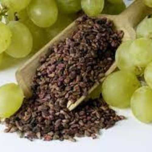European wine grape extracts exporter