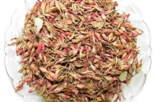 Woodfordia fruticosa extract supplier