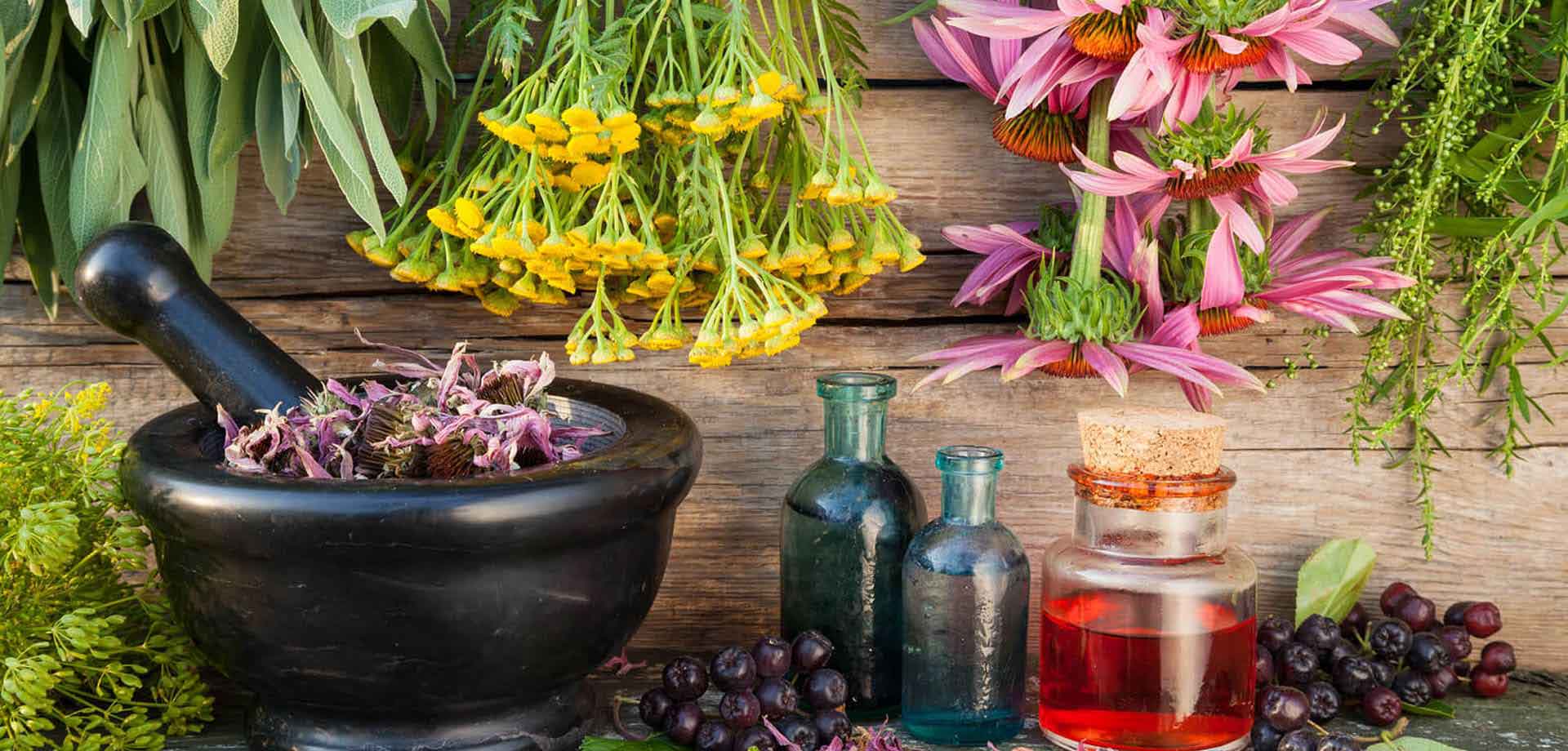 Herbal Creations - Herbal Extracts Manufacturers and Suppliers