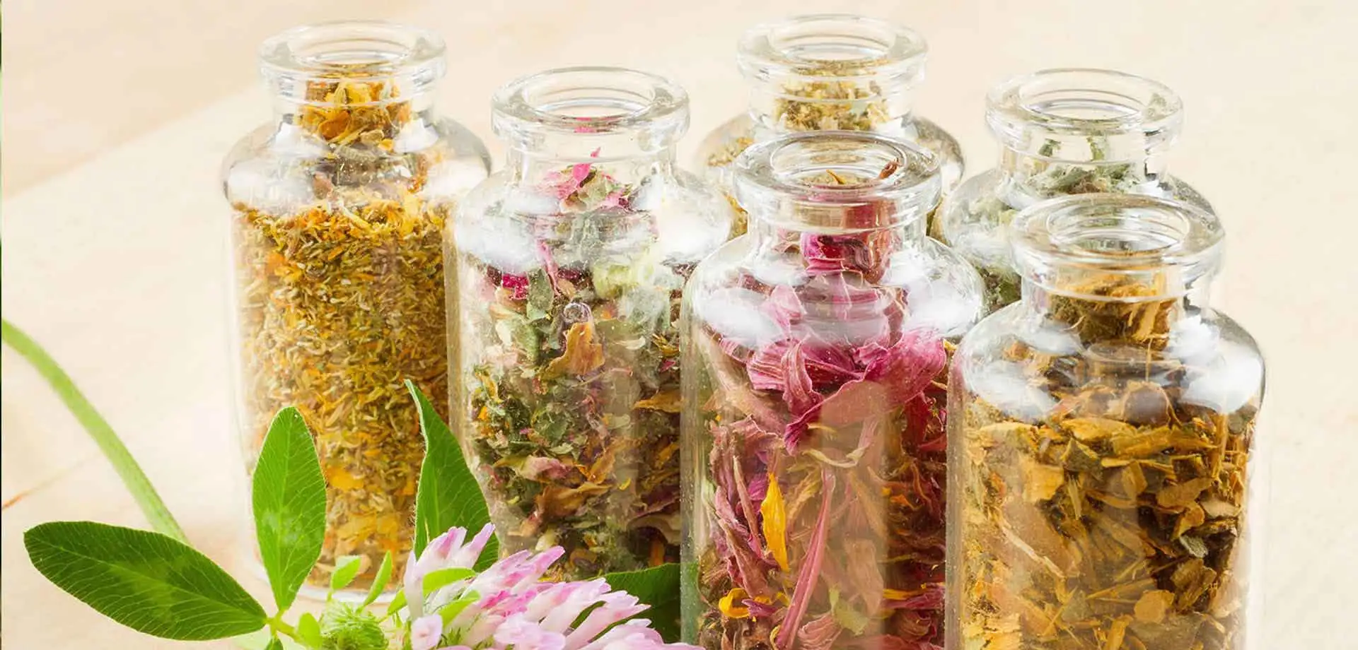 Liquid Extract Supplier in India