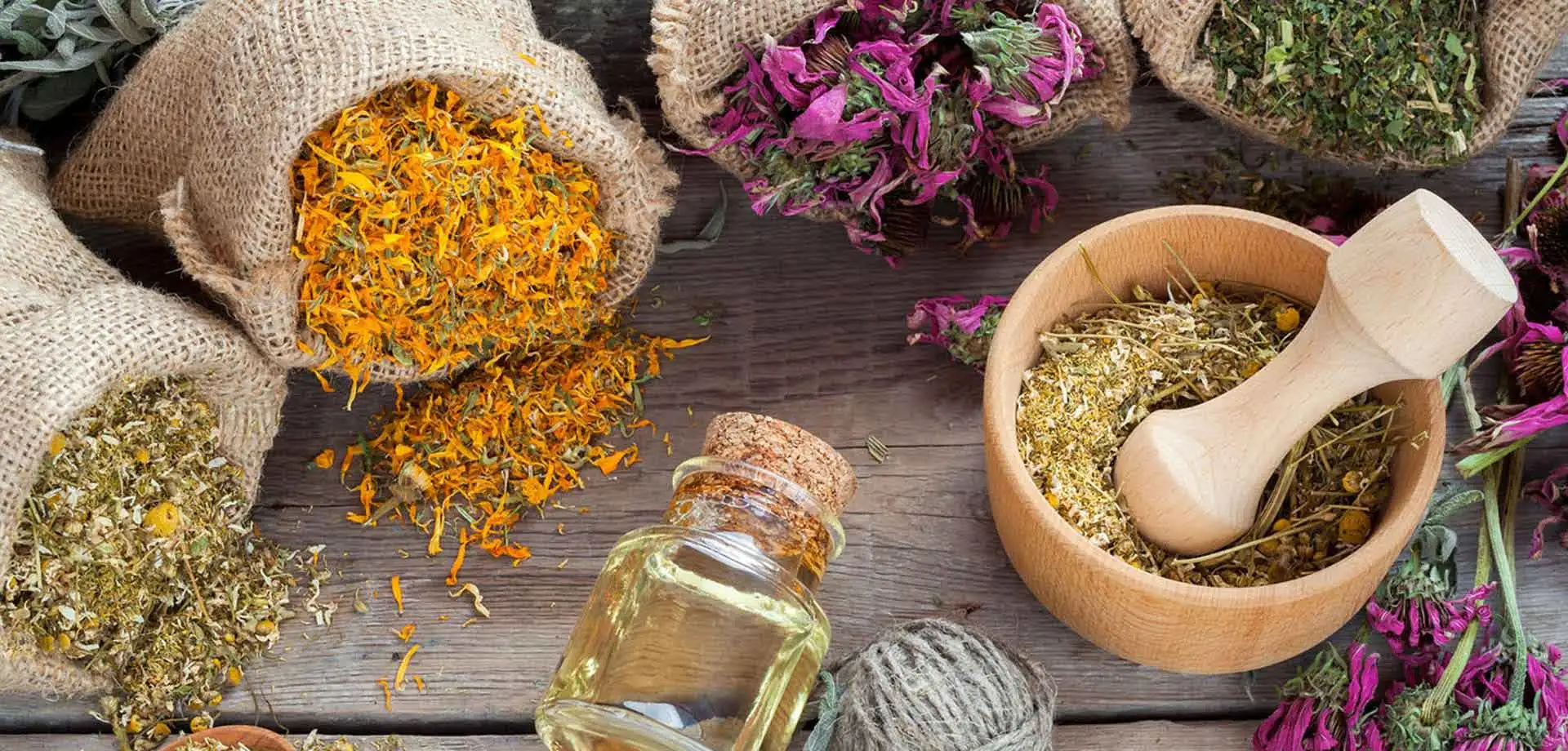 Pythochemicals Extract Supplier in India