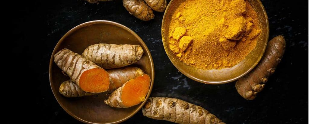 curcumin extract supplier in india