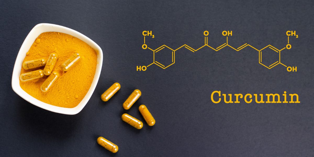 Curcumin extract supplier in india